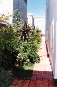 PATIO DEL NUEVO SECTOR DE INTERNACIÓN